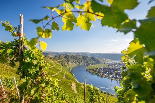 Wein- und Winzerdörfer entlang der Mosel